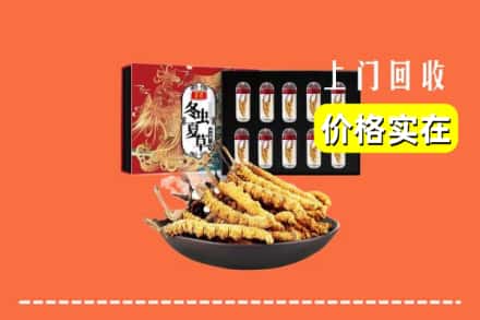 乐山金口河区回收冬虫夏草